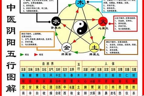 1984年五行|1984年屬鼠是什麼命？最全鼠命命相批註！